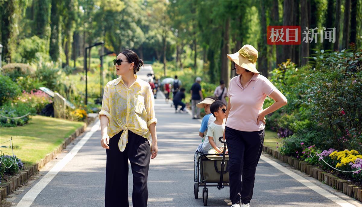 254俄罗斯娱乐登录